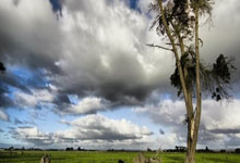 壹号娱乐官网：付政浩：CBA裁判应提升职业道德 否则未来留给他们的饭碗也不多了.