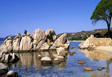 徐江：亚泰是完全不可拯救的那种降级热门，前面这2个外援太差了.